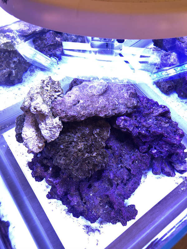 2A6C68E5-F26F-40D3-AFD0-FB12260DDFDA