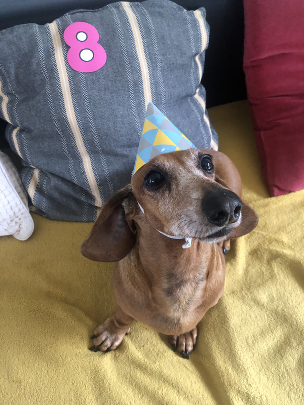 [Image: IMG-3446.jpg]