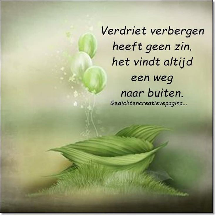 03f5a9ec282f736624d23cc8a5f4e6ab