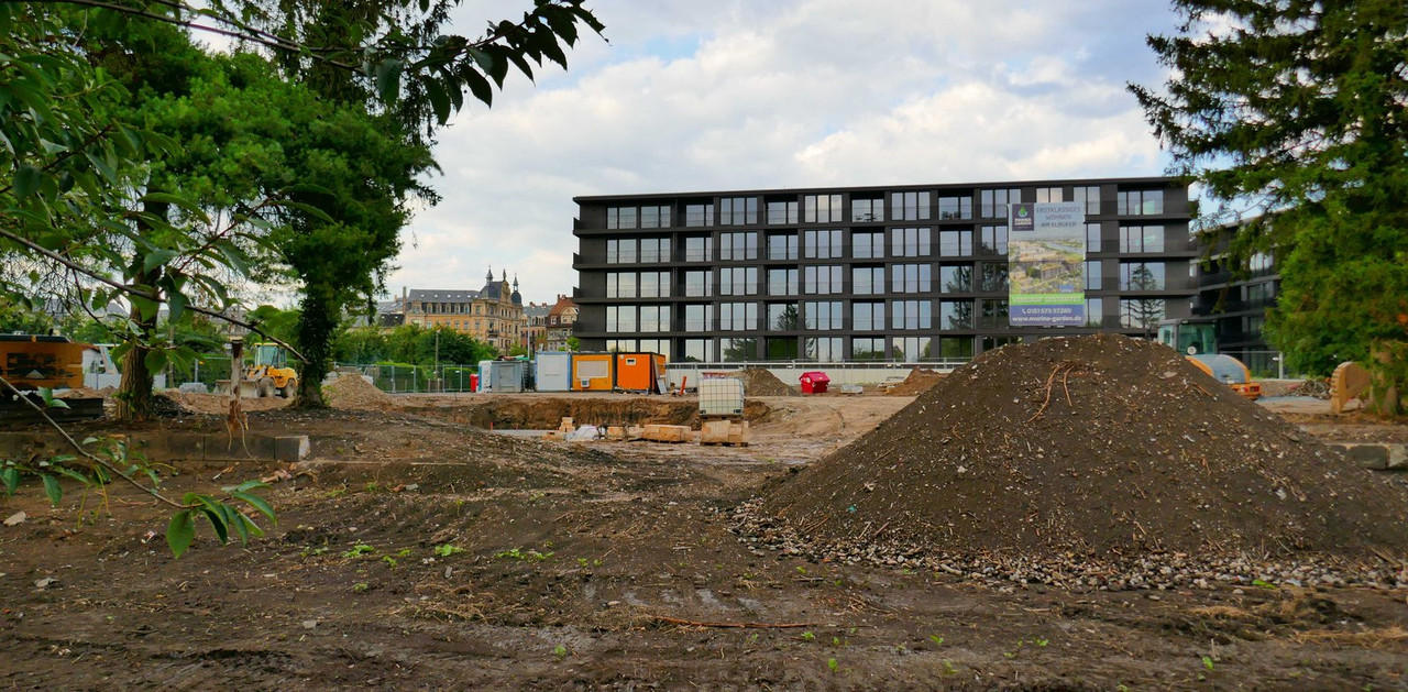 Bild: https://i.postimg.cc/T1kXHQVG/P1210687.jpg