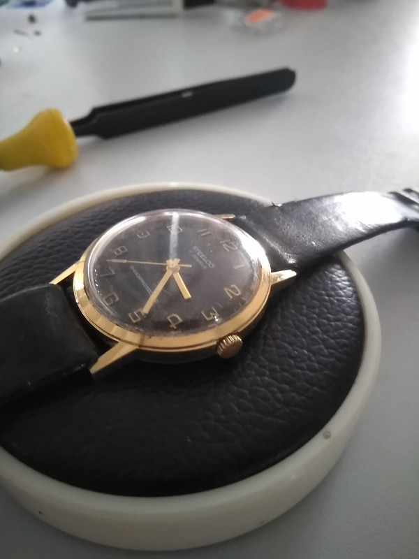 68957127_2991389110902863_7573459396613636096_n