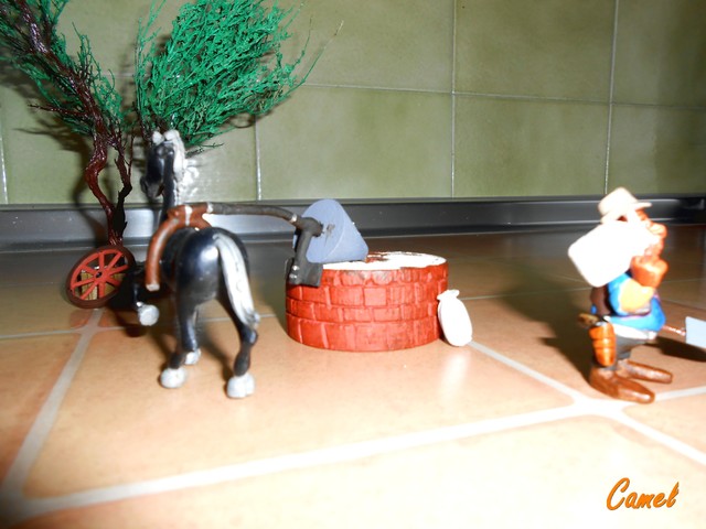 DSCN7893