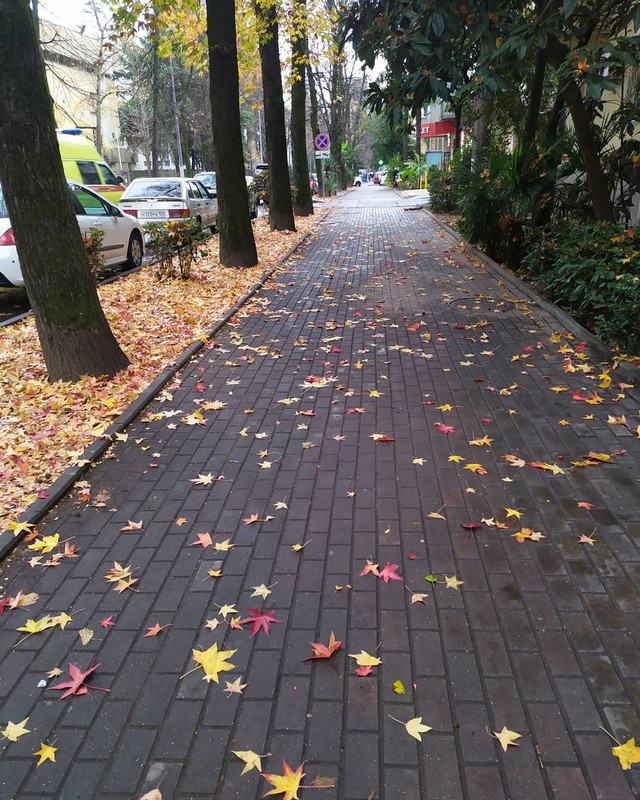 IMG_20201209_171328_061