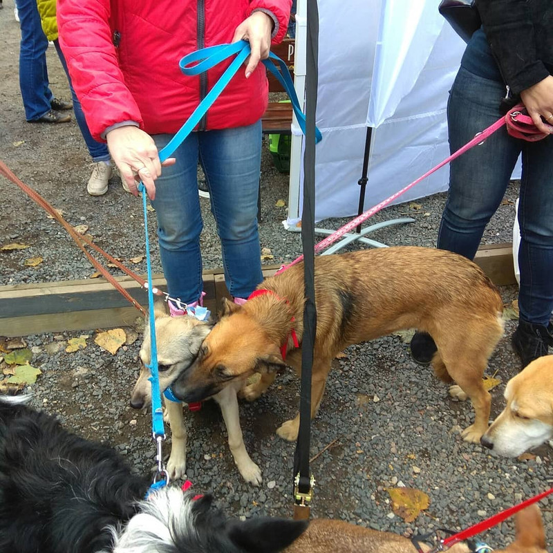 C5F03154-F493-4818-A99F-28BF3A39056E