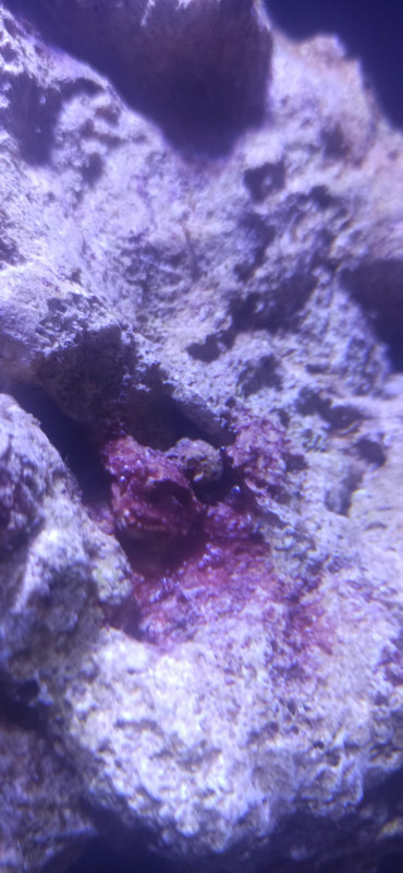 11df9f6f c527 4dc9 9585 b89efd8094f4