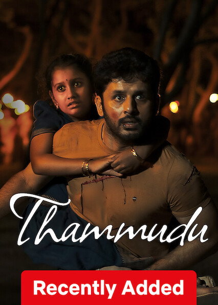 Thammudu (2025) Telugu NetFlix WEB-DL H264 AAC 1080p 720p 480p ESub