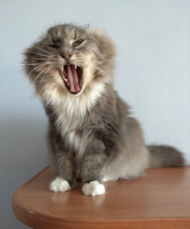 0B546042-2327-46DA-90DA-AA3776D6C294