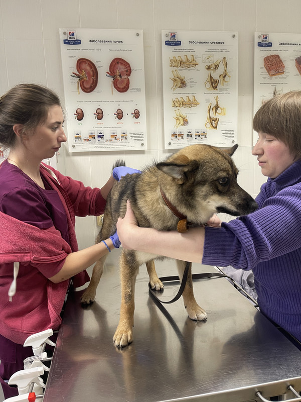 EF47DD8D-324F-4A03-96C6-E57ED914AE82