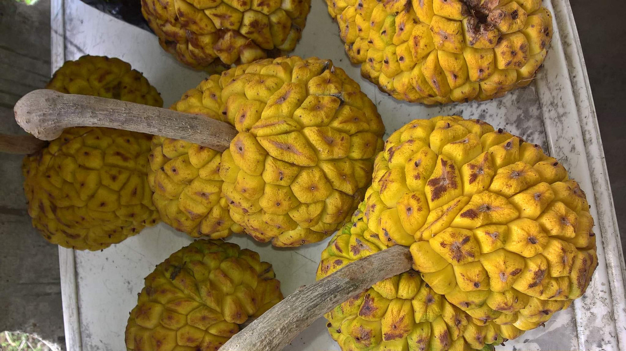 received_582907339371003