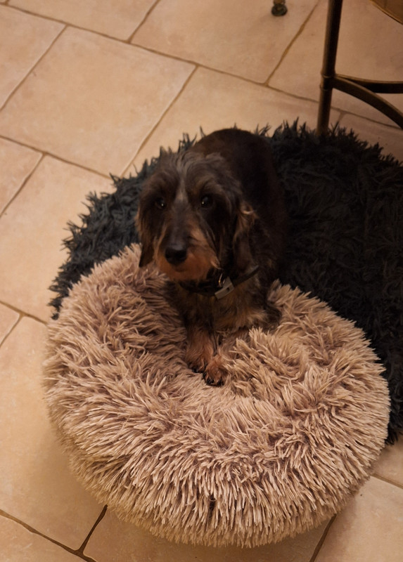 [Image: 20251220-175254.jpg]