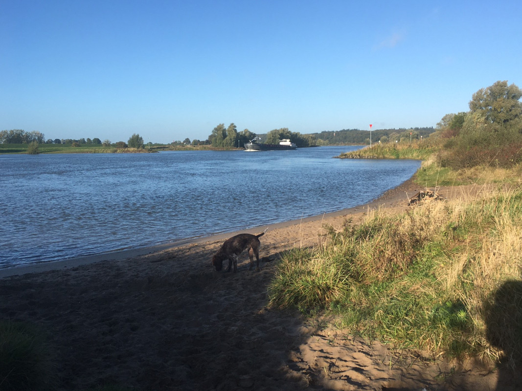 2024-07-10 Claire bij de Rijn IMG_4227 (002)