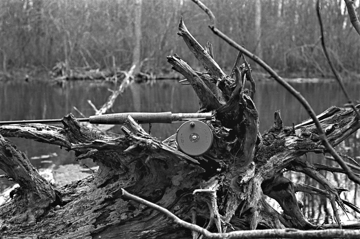 rod on Spring Brook edit