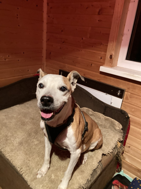 7447DEFE-BE7B-403E-904D-1146840910E8