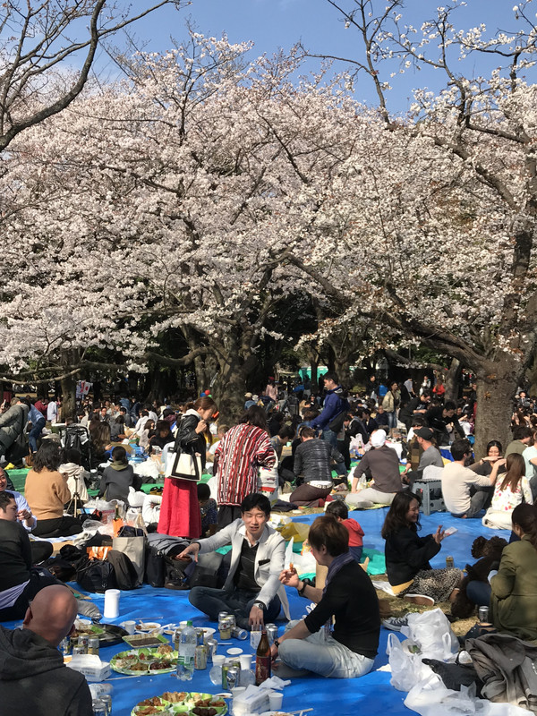 09D995F1-AE5A-4AFF-8E54-AB7C525B5AC6