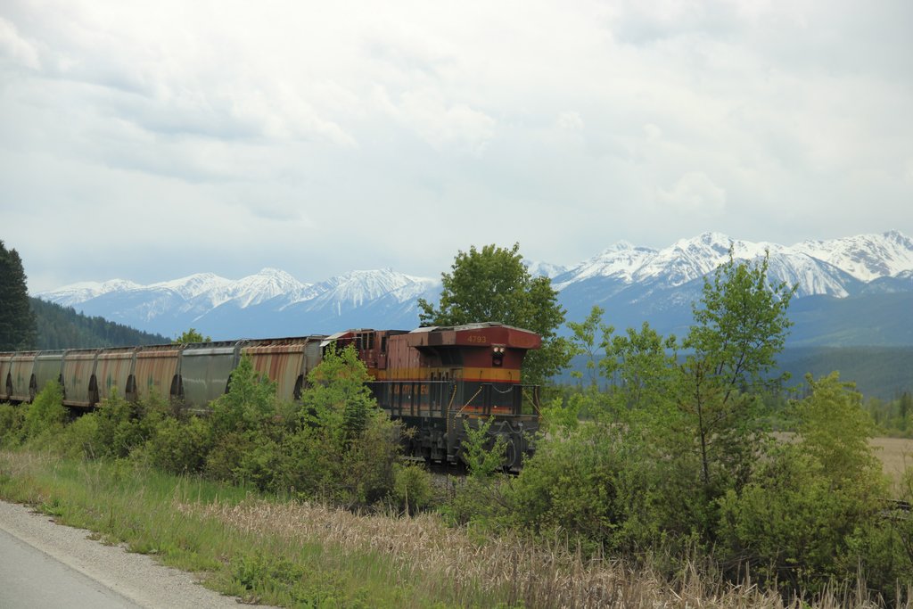 IMG-1396.jpg
