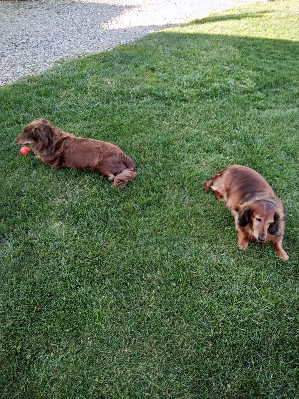 [Image: IMG-20230704-185623.jpg]