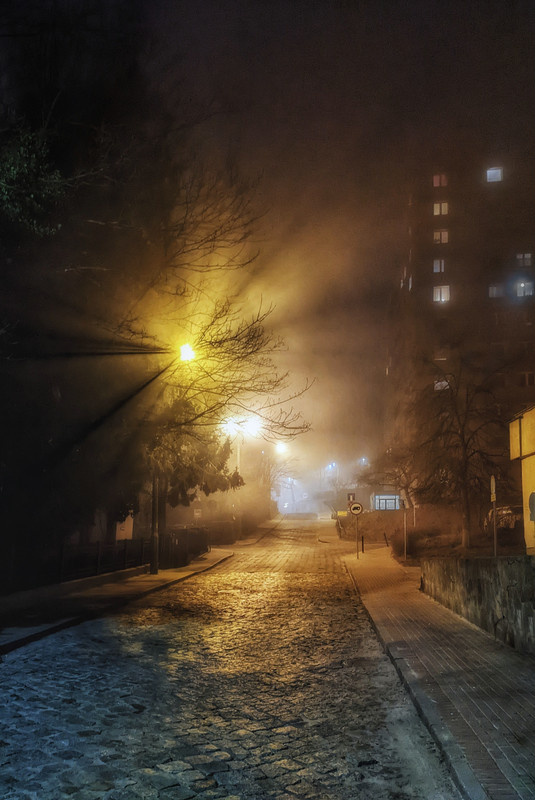 PXL_20220315_201232827-01-01-01-01-01