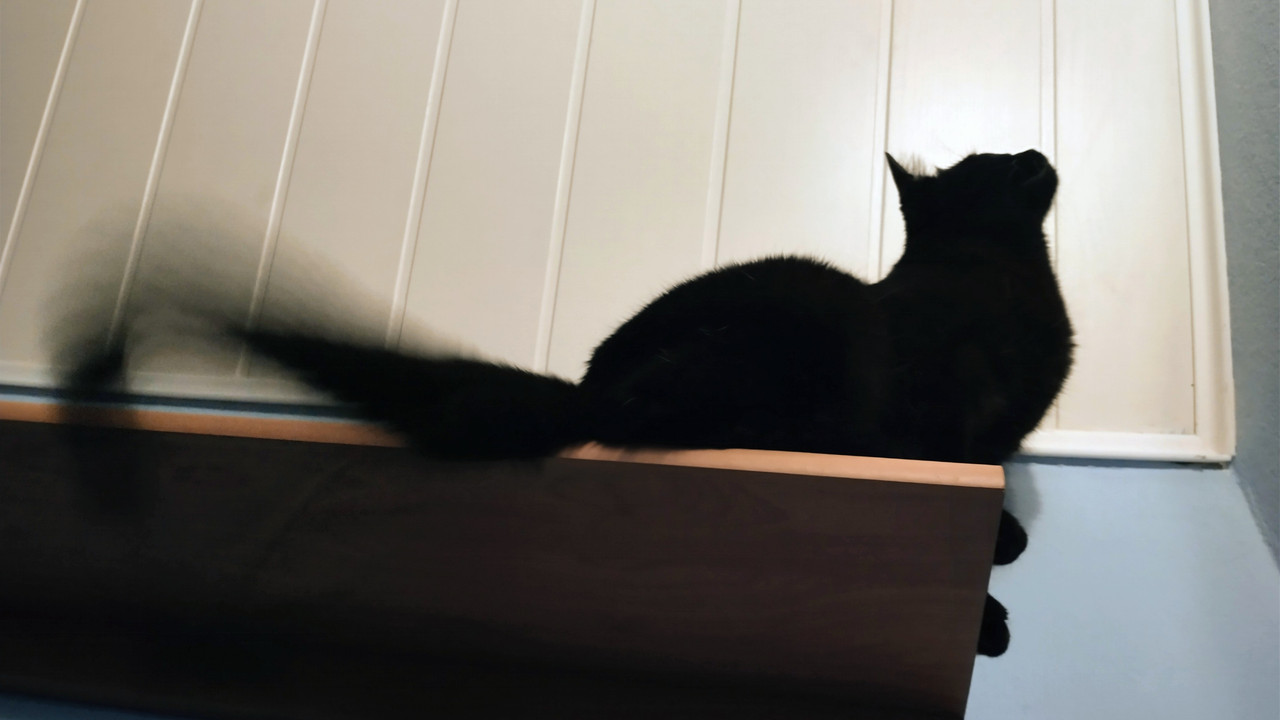 IMG 20251113 205315096 HDR 2