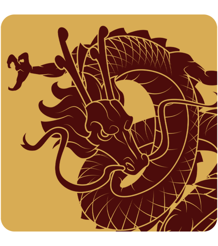 DRAGON222