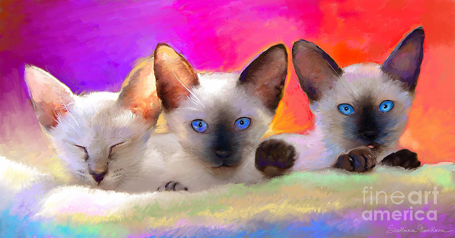 24-cute-siamese-kittens-cats-svetlana-novikova