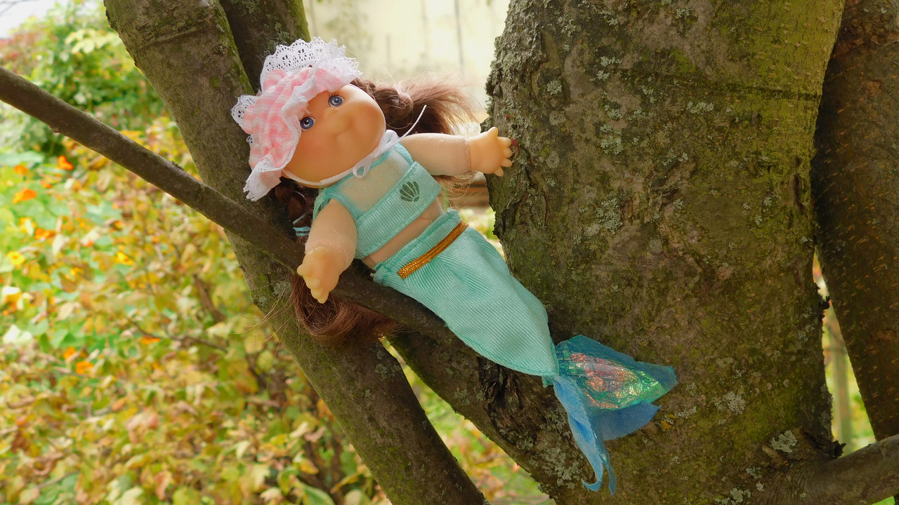 Дачное и  к Хелл сентябрь 2023 193