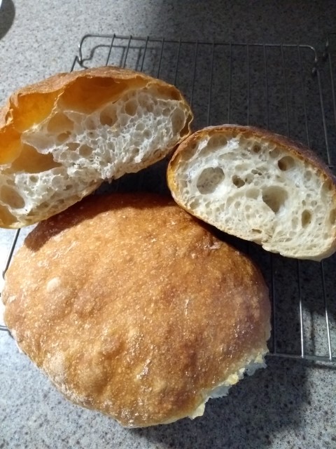 IMG_20231228_161736867 (Small)