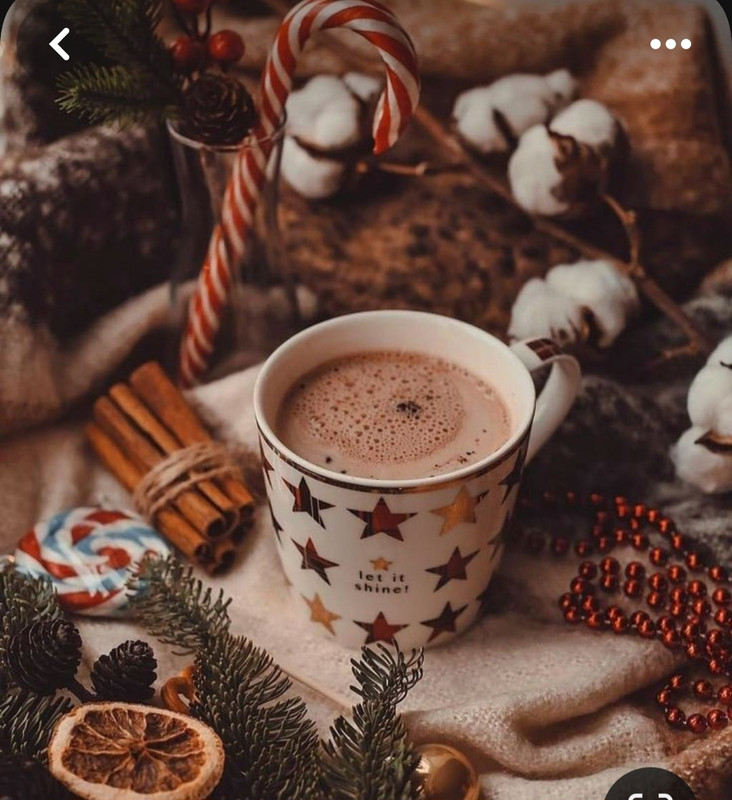 Screenshot_20231120_220746_Pinterest