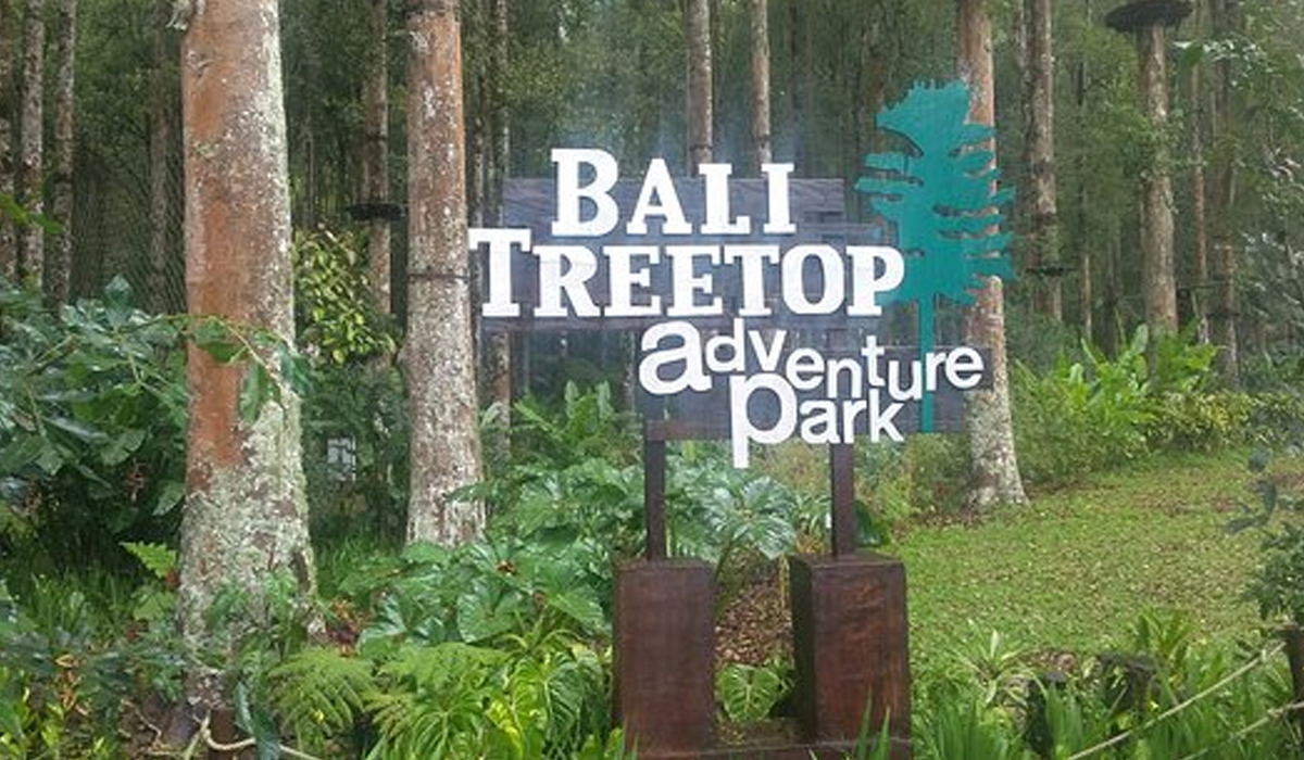 Nikmati Sensasi Melompat dan Flying-Fox di Bali Treetop Adventure Park