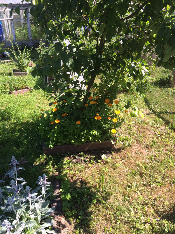 D6C65A60-22DC-4751-975B-AAF782F1D2E5