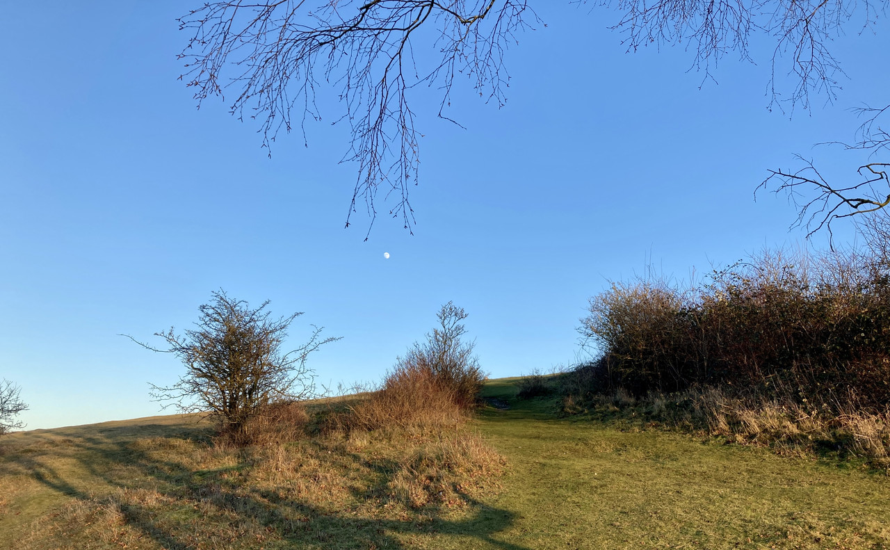 D3DC17CB-5125-4F9D-BD59-034BABED3DE8