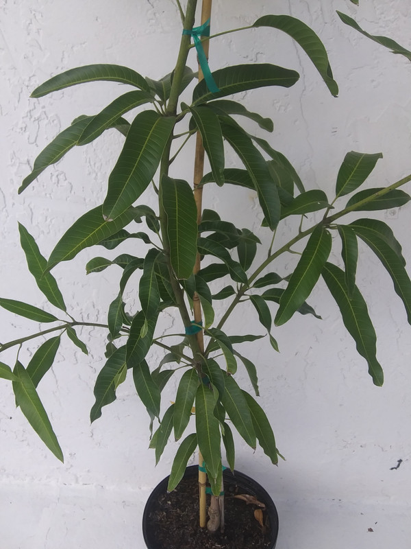 20190907_104942_Burst04