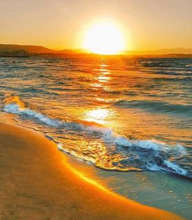 43104966-2247789415457080-2803110603302895616-n