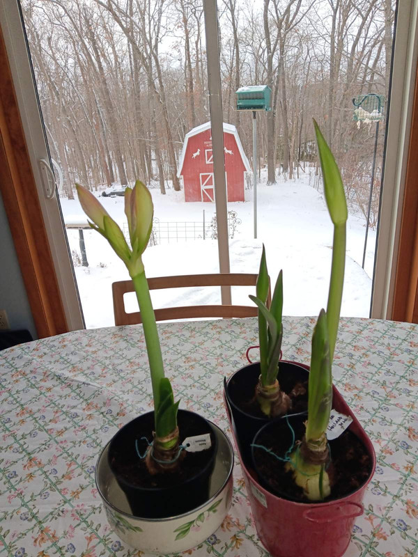 0-02-01-6ef38f44bd785b525a467da28b382701f5212f0c47e78690fbdfe2ffbadee806-882454180a1c1baf