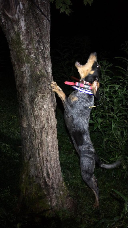 38047748_1731406426980496_6552243442095751168_n