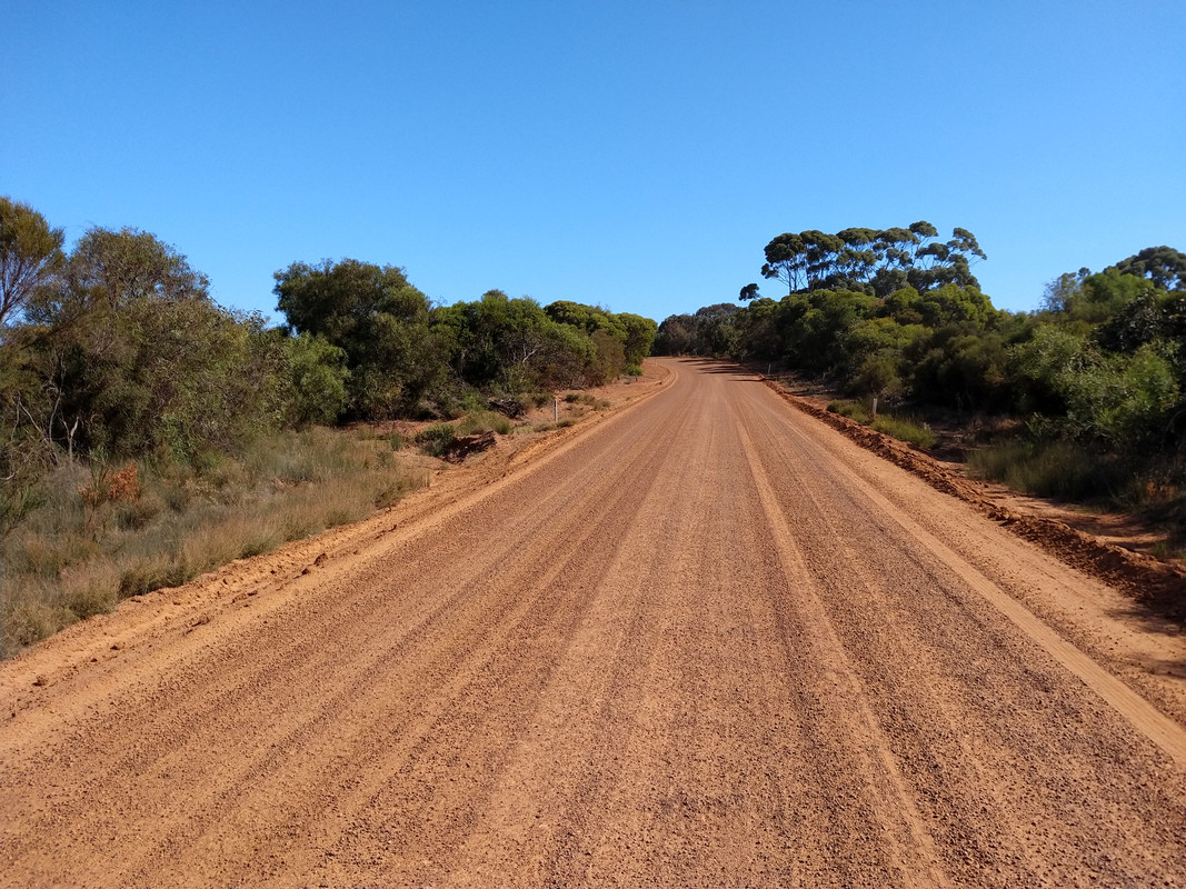 AUSTRALIA , "QUE GRAN PAIS" - Blogs de Australia - MIS IMPRESIONES SOBRE ISLA KANGURO (2)