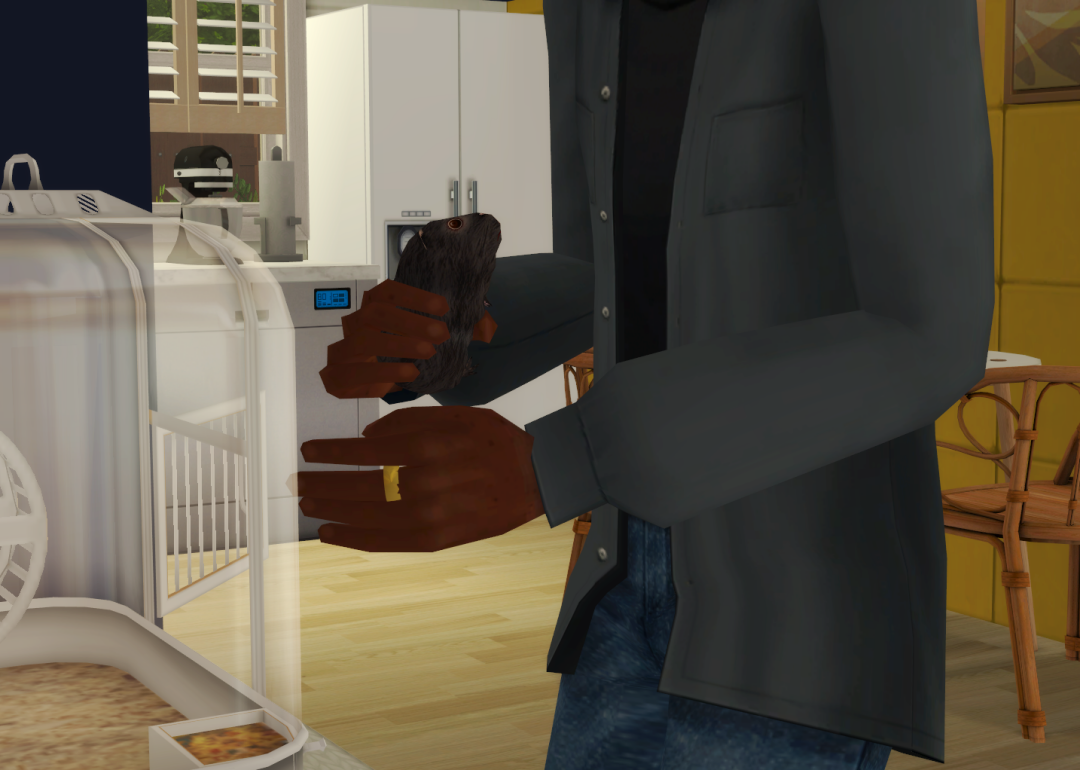 Sims2-EP9-RPC-2023-02-11-09-19-37-83