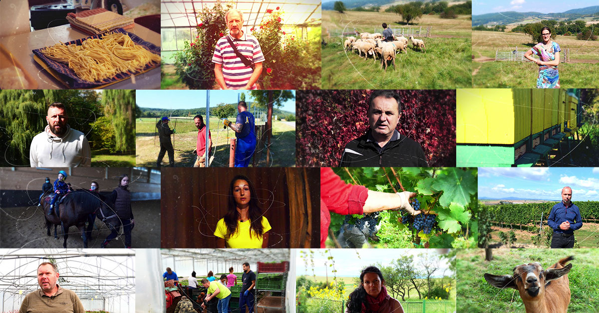 Slávnostná premiéra filmu „DVORY, KTORÉ POMÁHAJÚ“