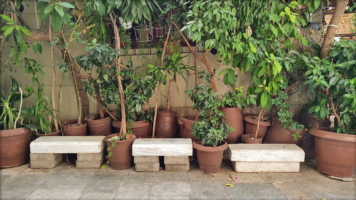 A photo with flower pots and small stone benches in front of a wall covered in more greenery and hanging pots.