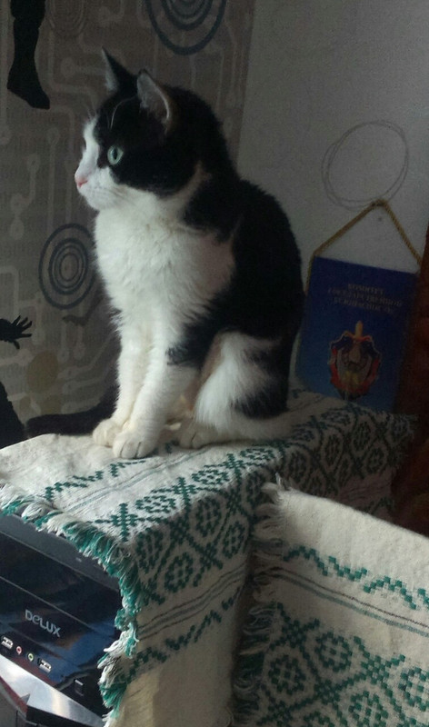 IMG-10562524f85a8b733b2c1361760e15ea-V