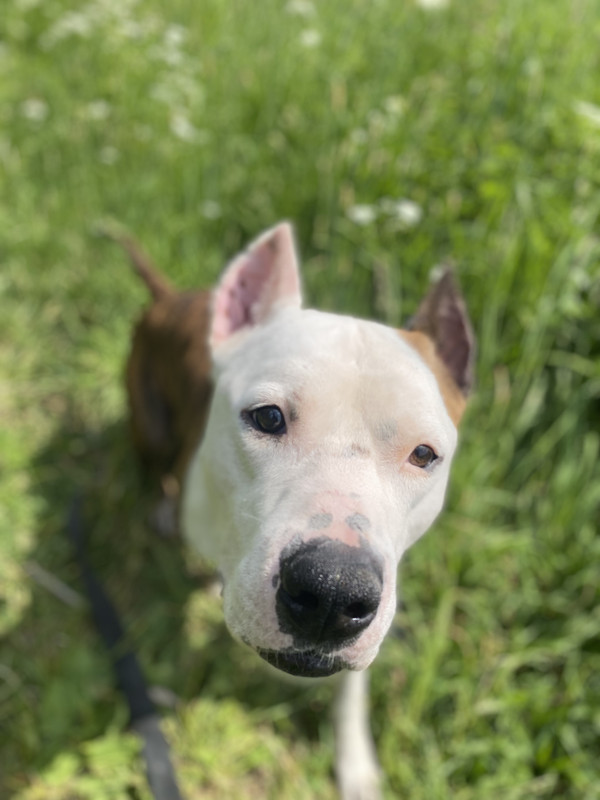 A35F50BB-9D2E-4F49-80B3-BD6F2B71B35C