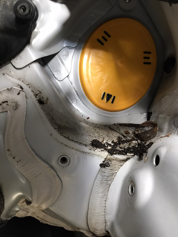 F10 Windscreen Drainage and Yellow Grommet. - F10, F11 and F07 ...