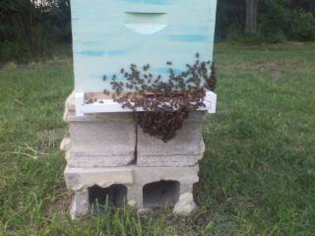 10509720_10201456743300645_261704136793900401_n