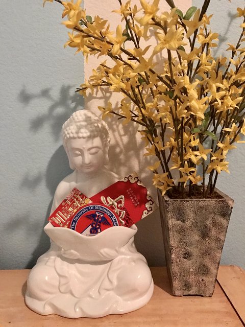 [Image: 777-A3-D23-6499-4-A4-F-AFA7-66-FA10-D93-E5-A.jpg]