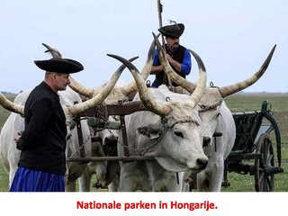 Nationale-parken-in-Hongarije