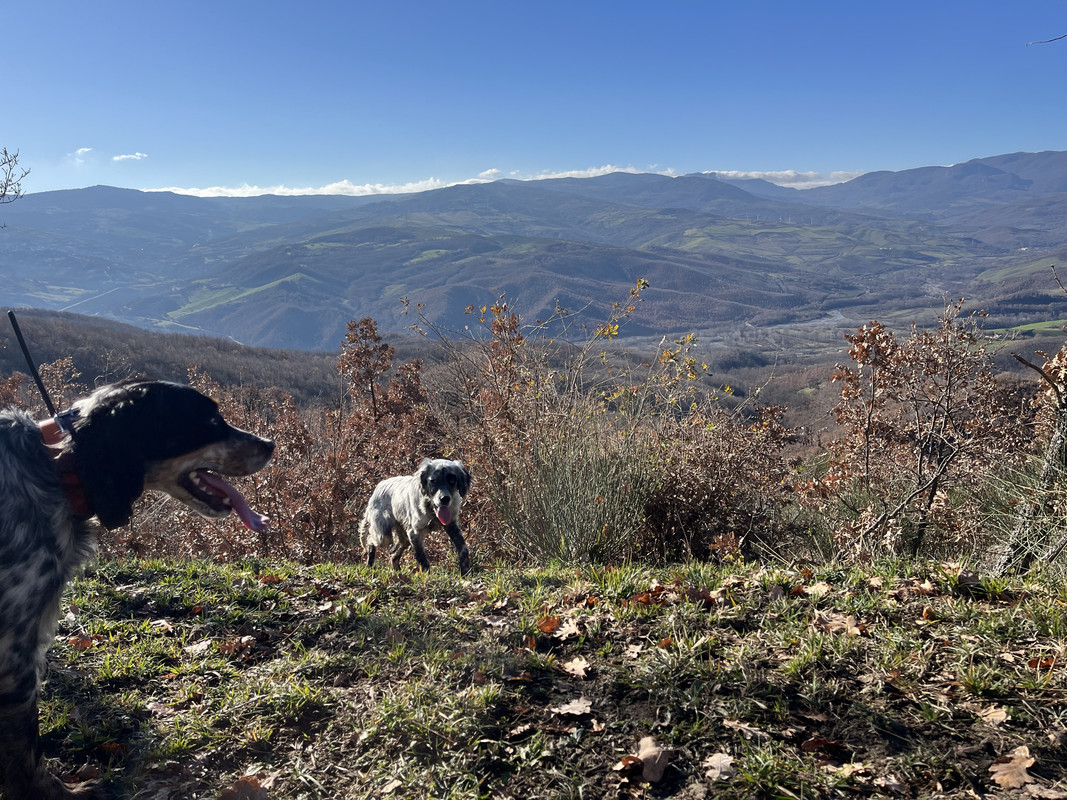 5BAE57F5-45CE-4FC0-8A44-E329095F035E