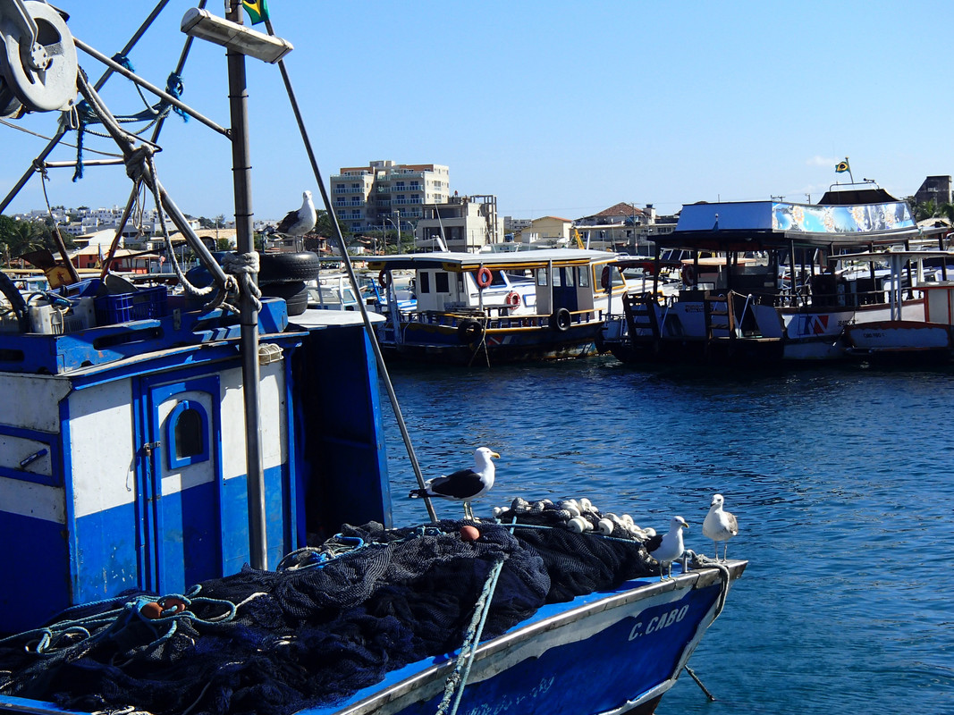 Arraial do Cabo. Playa. Buceo. Maravilloso. - Blogs of Brazil - Lunes 17 al sábado 22 de junio (12)