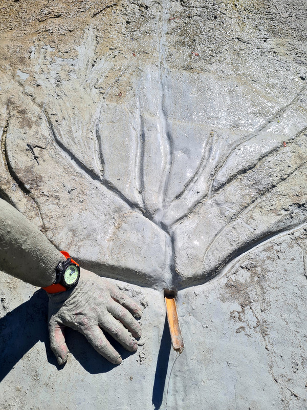 citizen_aqualand_argilos_120418S