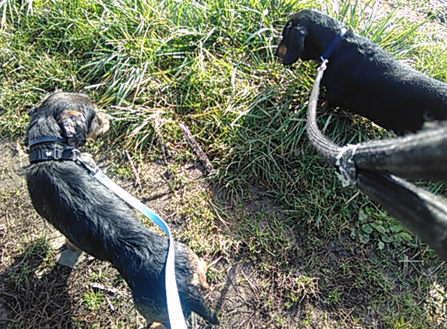 [Image: PANO-20211112-114009.jpg]