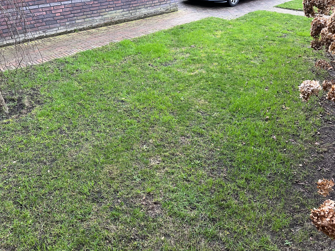 E4A50F78-0CA0-480A-BB38-75380F91FB25