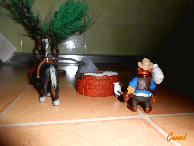 DSCN7897
